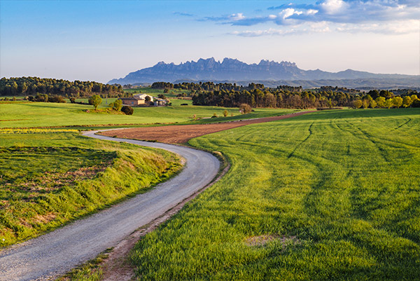 Hyperfocal distance landscape photography example